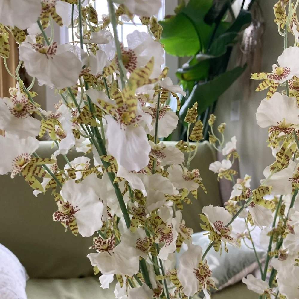 West Elm Orchid stems